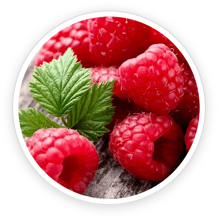 Fresh wild raspberries