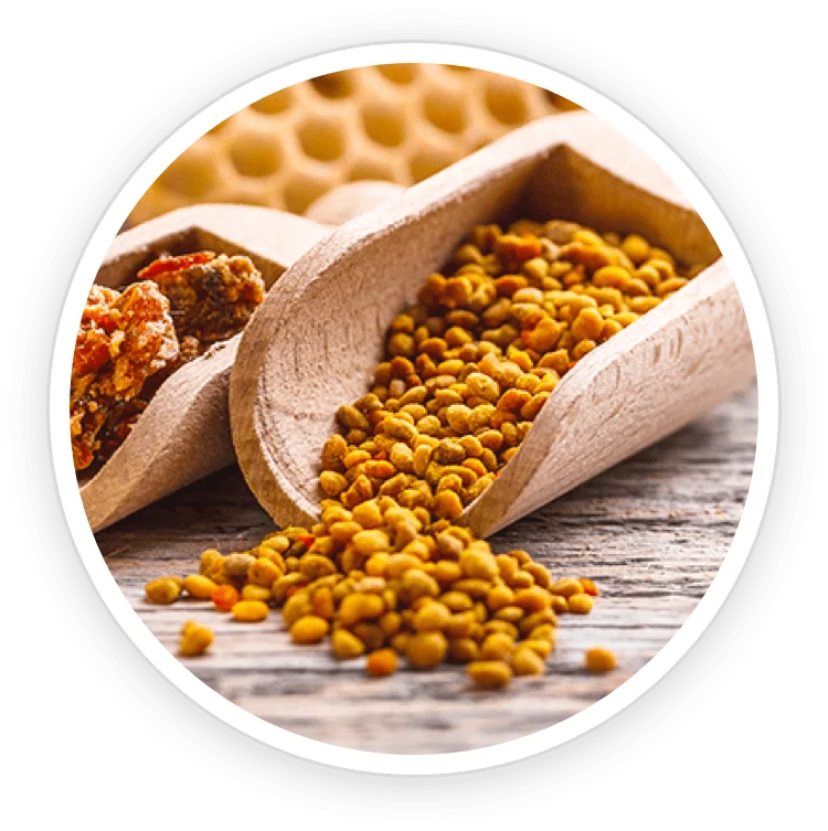 Bee pollen granules beside honeycomb