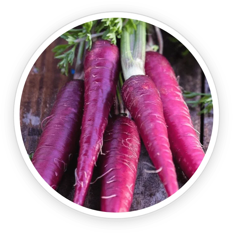 Purple carrots, the source of the formula’s carrot powder
