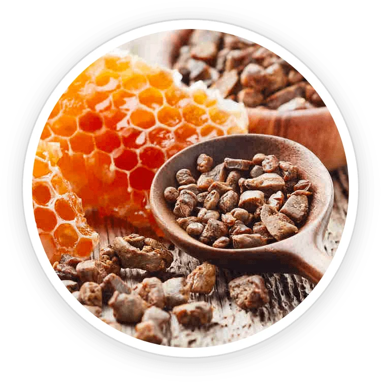 Raw propolis pieces beside honeycomb